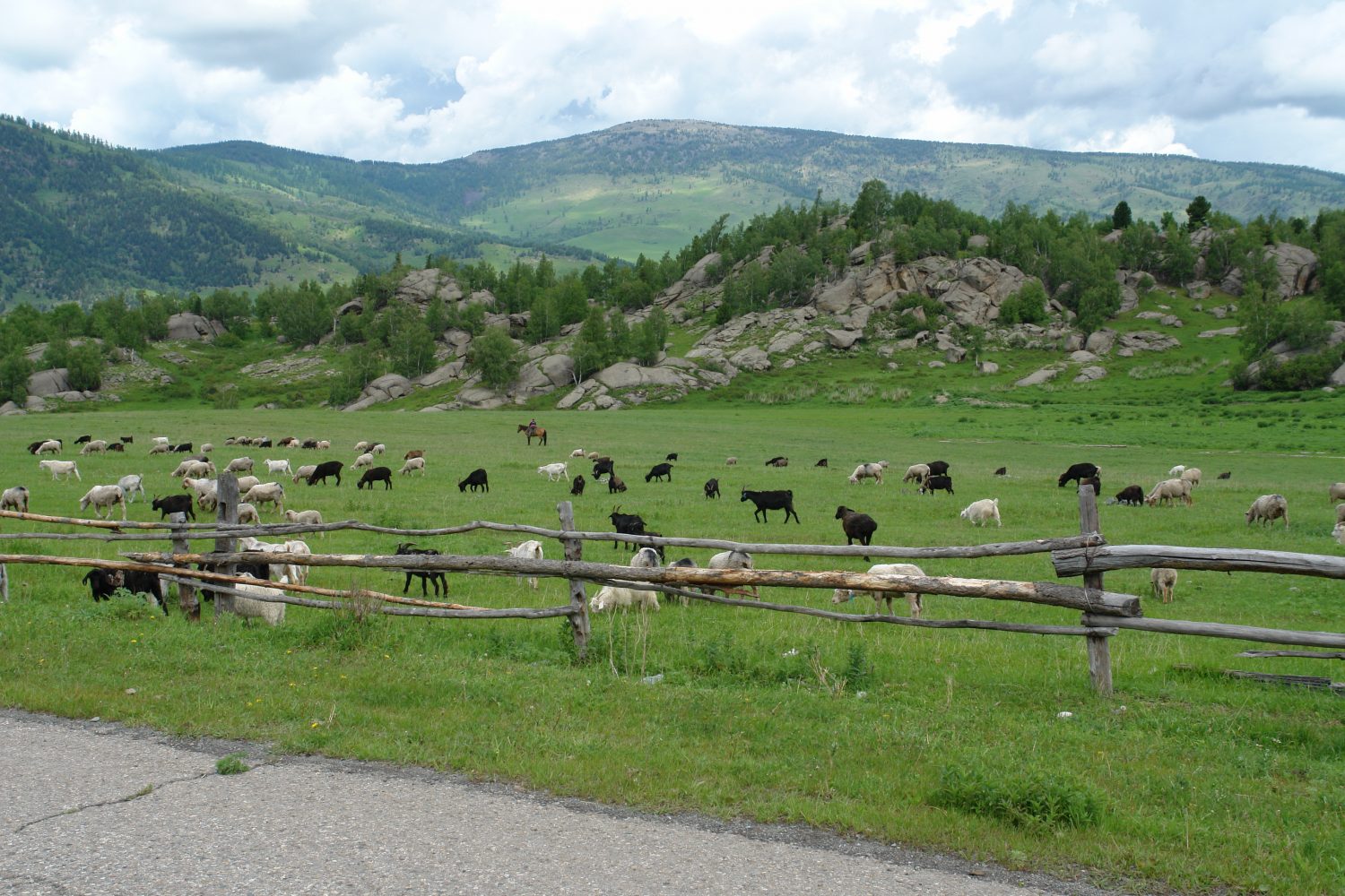 Урыль восточный казахстан фото